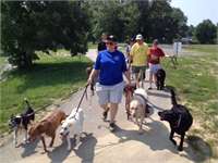 training pic 17 - pack walk